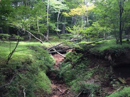 茶臼山公園の写真