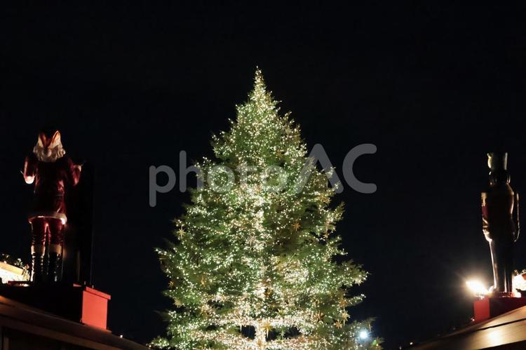 クリスマスの風景 クリスマス,イルミネーション,クリスマスツリーの写真素材