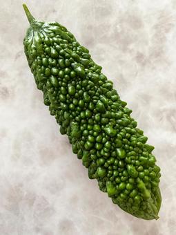 家庭菜園のゴーヤ ゴーヤチャンプルー,ゴーヤ,家庭菜園の写真素材