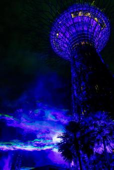 【シンガポール】ガーデンズバイザベイ ガーデンズバイザベイ,シンガポール,ガーデンの写真素材