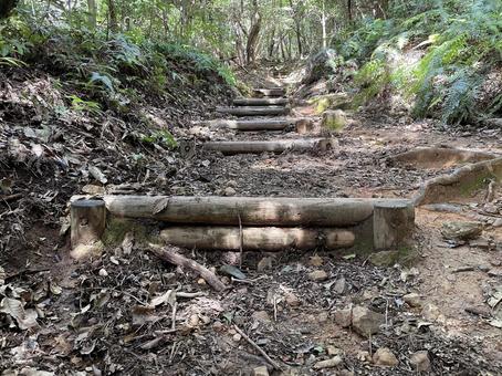 登山道の丸太の階段 1 登山道の丸太の階段 1 階段,丸太,ハイキングの写真素材