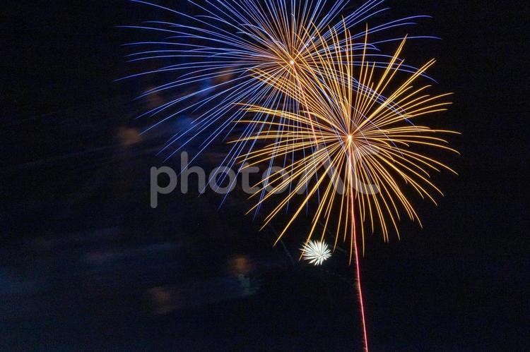 夜空に咲く光の華 花火,打ち上げ花火,花火大会の写真素材