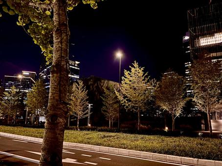 夜の都市の緑の写真