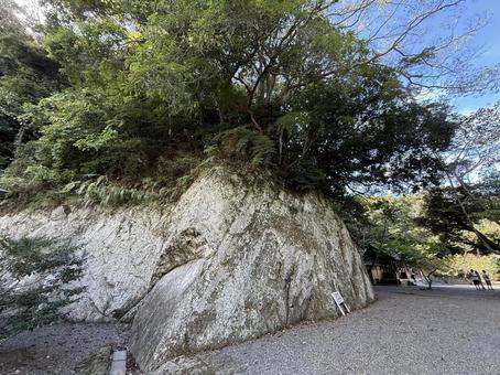 安房神社 安房神社 安房神社,千葉観光,南房総の写真素材