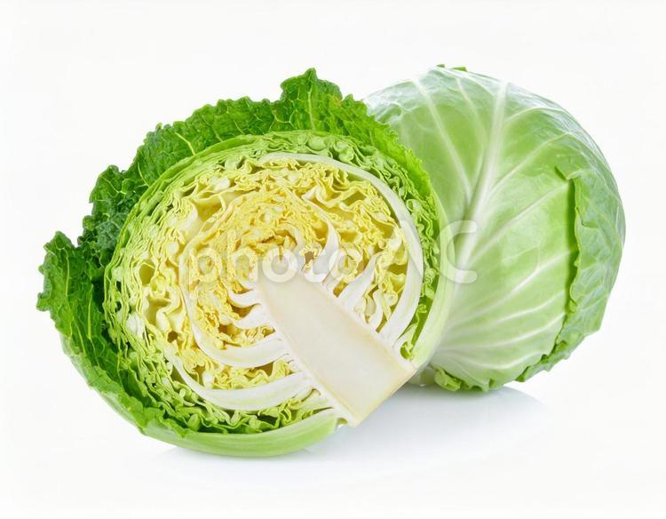 キャベツ キャベツ,野菜,白バックの写真素材