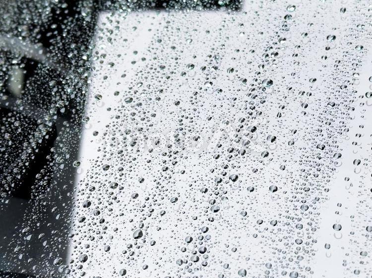 撥水加工した車のフロントガラス 雨粒,雨,撥水加工の写真素材