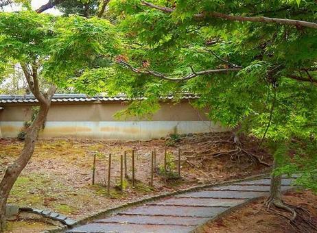 【風景写真】静かな佇まい 【風景写真】静かな佇まいの写真