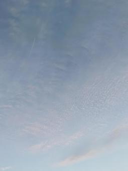 青空を駆ける飛行機雲 青空を駆ける飛行機雲 空,飛行機雲,青空の写真素材