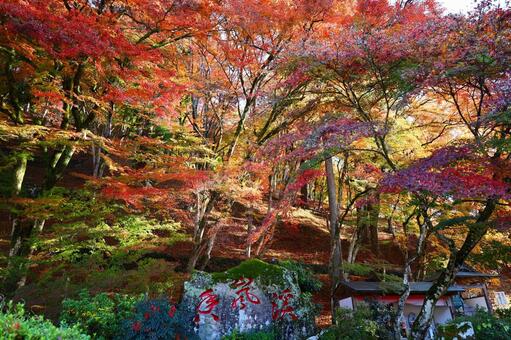 香嵐渓の石標と紅葉の秋景色 香嵐渓,石標,紅葉の写真素材