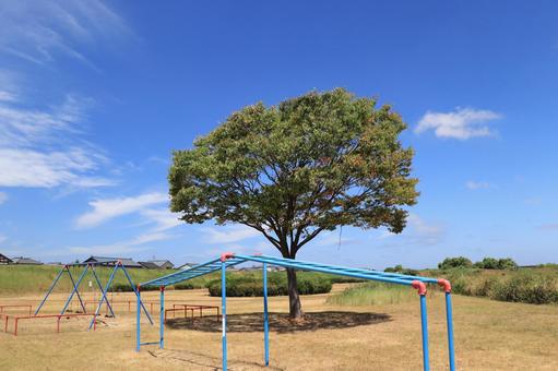 Trees, climbing ladders and swings in the park, JPG