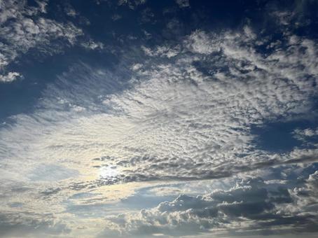 朝の鱗雲 朝の鱗雲の写真