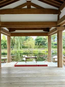 秋の夕方　福井県紫式部公園 紫式部公園,福井県,庭園の写真素材