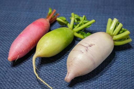 ミニ大根 三浦,ダイコン,冬の写真素材