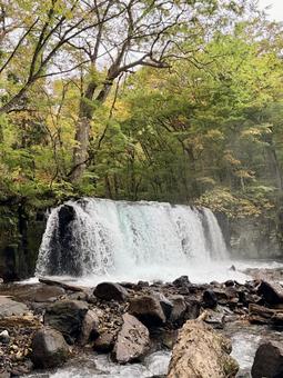 銚子大滝　in奥入瀬渓流の写真