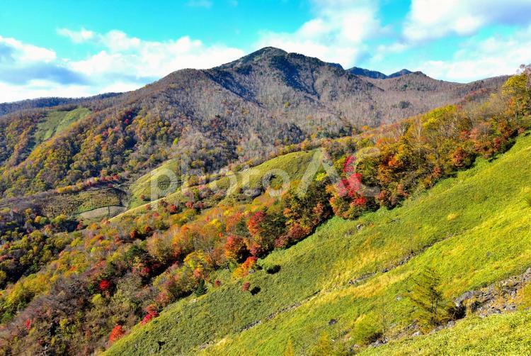 秋の袈裟丸山（栃木足尾） 秋,紅葉,山の写真素材