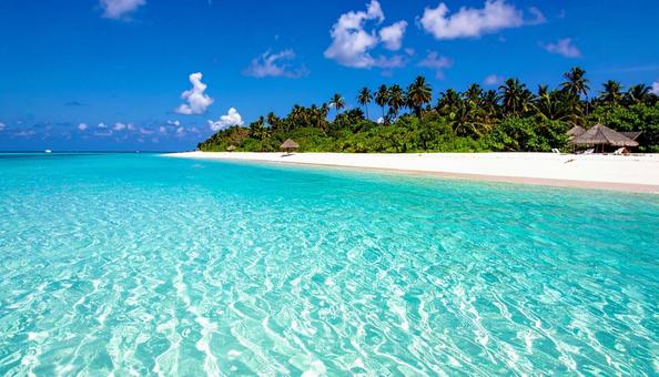 美しいサンゴ礁の海の写真