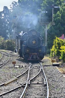 ニルギリ山岳鉄道の写真