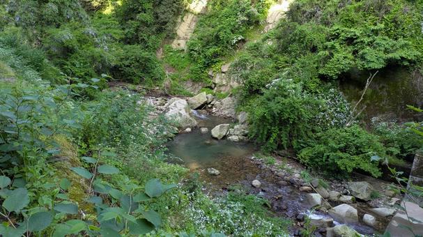 石川県大平沢の渓谷 石川県大平沢の渓谷 渓谷,谷川,大平沢の写真素材