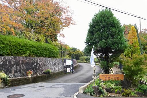 花のまちづくりセンターふろーらむ 入口 花のまちづくりセンターふろーらむ 入口 ふろーらむ,花のまちづくりセンター,入口の写真素材