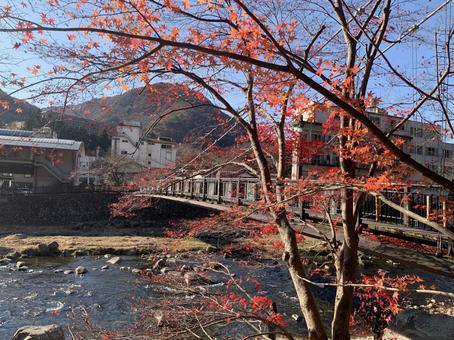 川に架かる橋と紅葉の風景 紅葉,カエデ,楓の写真素材