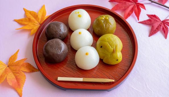 秋の紅葉と和菓子 秋の紅葉と和菓子の写真