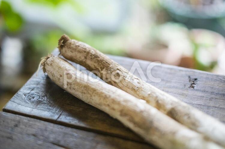 土のついた白ネギ ネギ,ねぎ,長ネギの写真素材