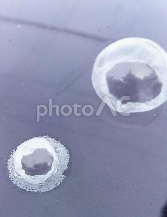 寒い朝のシャボン玉 シャボン玉,凍結,氷の写真素材