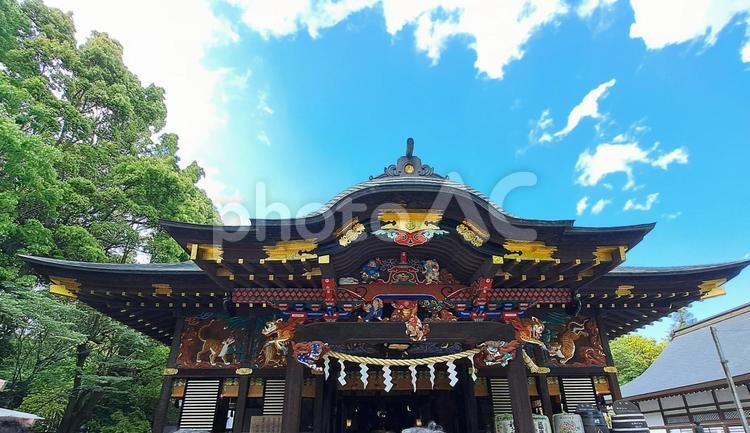 秩父神社の本殿 秩父神社,本殿,神社の写真素材