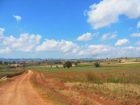 ミャンマーの田園風景 ミャンマーの田園風景の写真