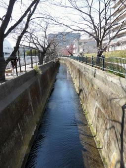 春近い街中を流れる用水路のある風景 川,河川,小川の写真素材