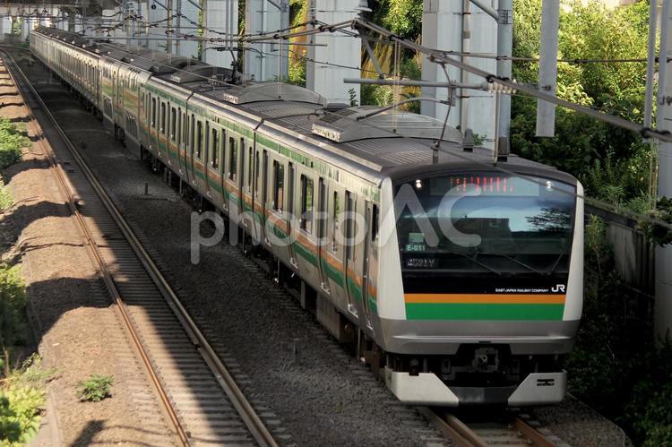 東海道線E233系普通列車 e233系,東海道線,jr東日本の写真素材