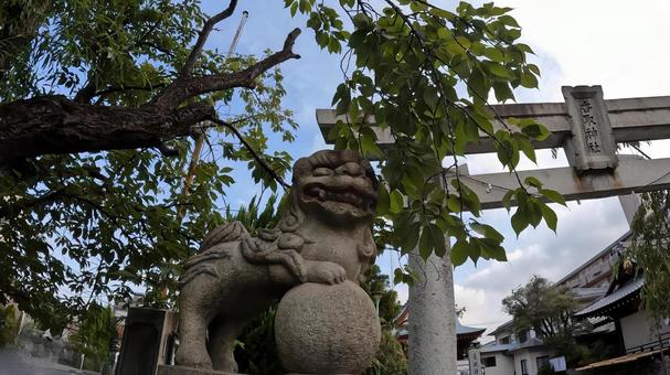東京都葛飾区堀切 上千葉香取神社 東京都,葛飾区,堀切の写真素材