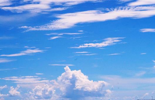 南国の夏空 南国の夏空の写真