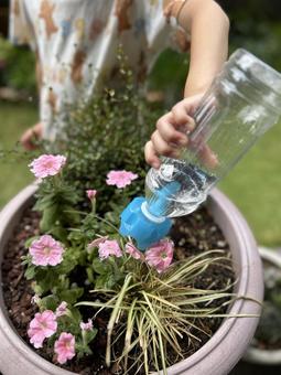 ペットボトルで水やりする子ども ペットボトルで水やりする子ども ガーデニング,子ども,水やりの写真素材