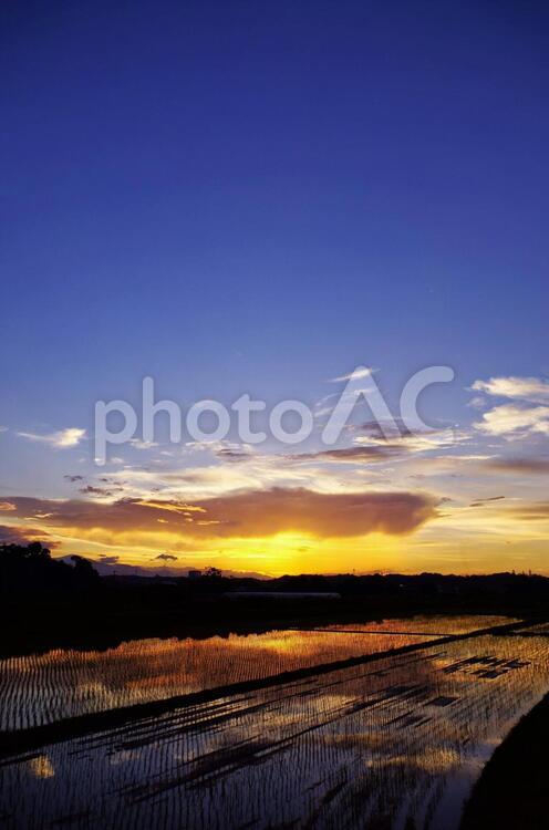 初夏の夕暮れ。 日暮れ,暁,空の写真素材