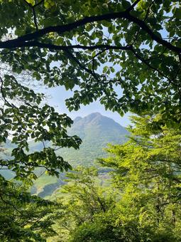 山 山,やま,登山の写真素材