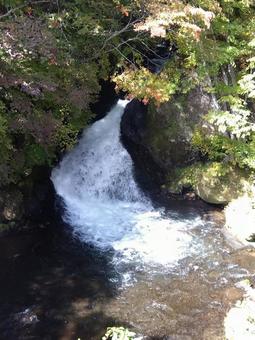滝 滝の写真