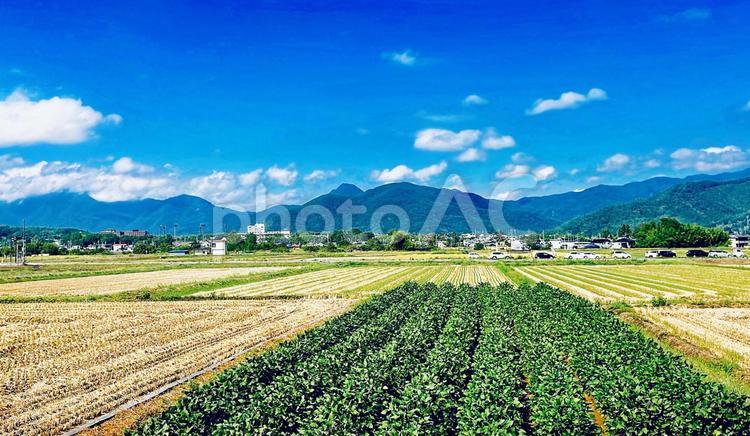田舎の風景 田舎,田んぼ,農村の写真素材