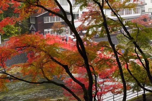 背景に合う香嵐渓の景観 背景に合う香嵐渓の景観 香嵐渓,秋,紅葉の写真素材