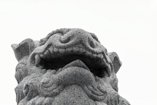 小樽・水天宮の狛犬 小樽・水天宮の狛犬 モノクロ,狛犬,神社の写真素材