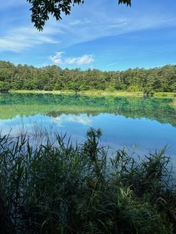 弁天沼③ 弁天沼③ 福島,晴天,夏の写真素材