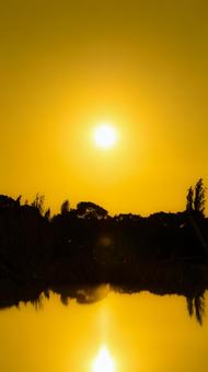 反射する夕日 反射する夕日の写真
