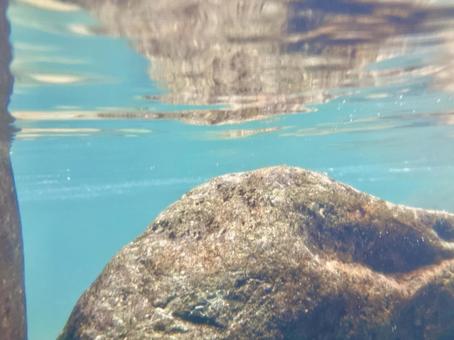 Underwater in a clear mountain stream②, JPG Underwater in a clear mountain stream②, JPG