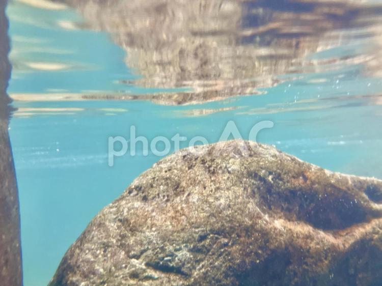 透き通った渓流の水中② 川,水中,渓流の写真素材