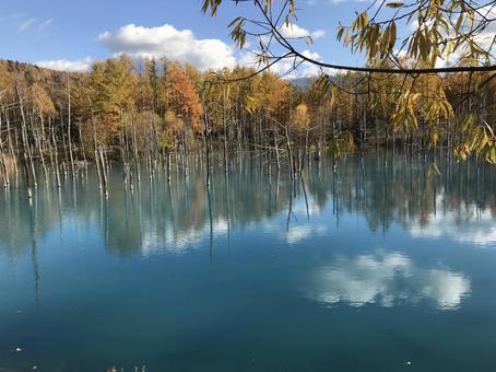 北海道の晴れた日の湖と森林 北海道の晴れた日の湖と森林 湖,青空,森林の写真素材