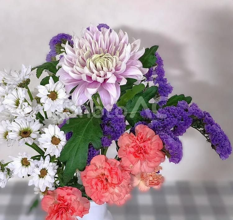 菊とカーネーション（切花） 菊,カーネーション,切り花の写真素材
