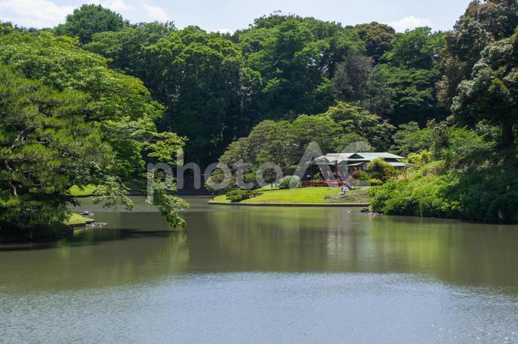 六義園の風景 六義園,風景,自然の写真素材