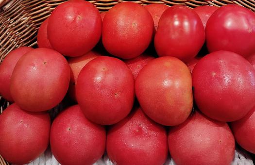 【新鮮野菜】北海道産トマト 【新鮮野菜】北海道産トマトの写真