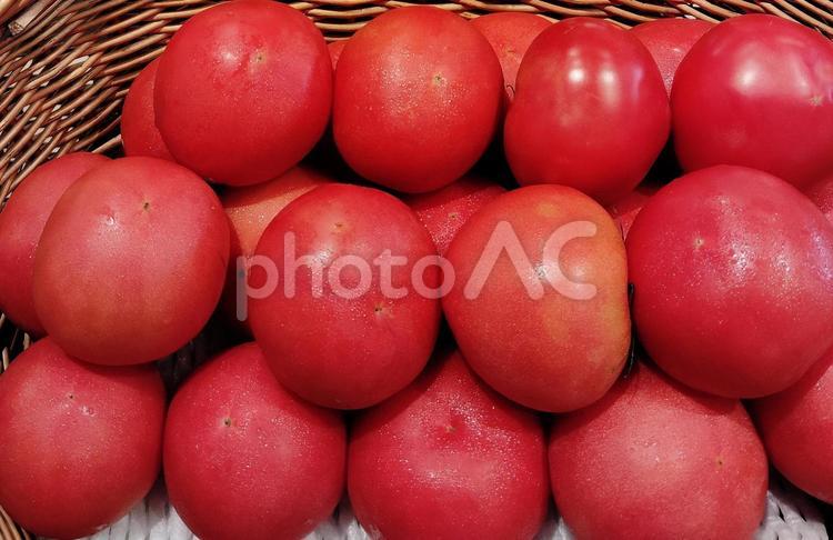 【新鮮野菜】北海道産トマト 野菜,ベジタブル,サラダの写真素材