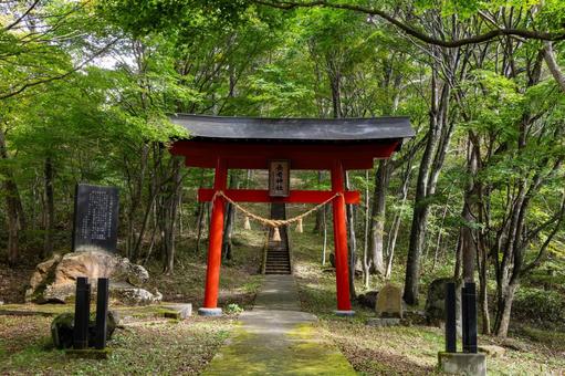 長老神社⑴ 長老神社⑴の写真